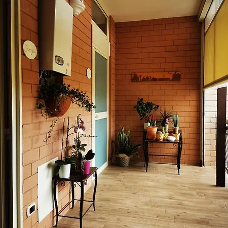 Alojamento de Acomodação e Pequeno-almoço Ameli 3*